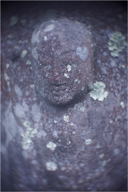 2206 幻惑(2020年5月16日スピードアナスティグマート25mmF1.5高畑町には慣れたものと嘯き)_b0226423_23015912.jpg