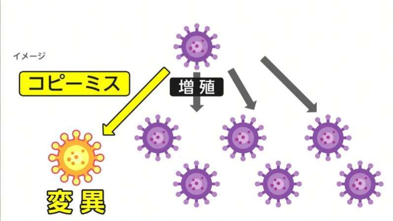 コロナ変異種2_a0117168_09493762.jpeg