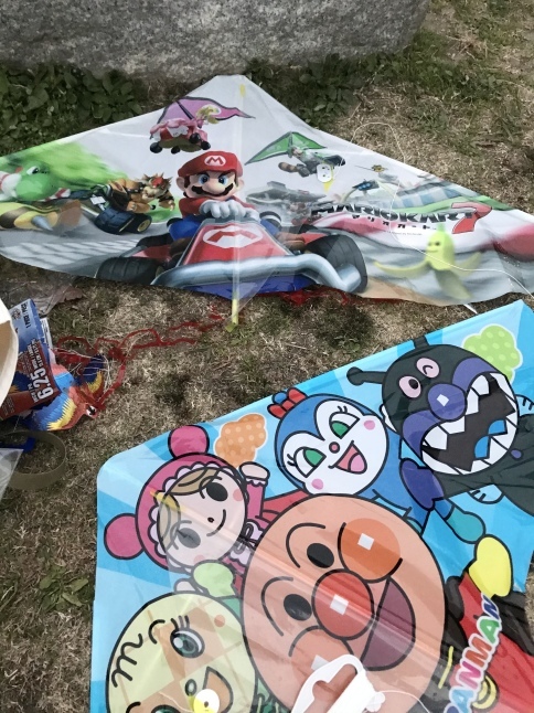来季発注(別注) お休み ゲーラカイト?_d0152280_14014281.jpeg