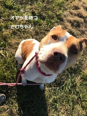 記憶力バツグン 青空 お日さま 笑顔 記憶力バツグン 青空 お日さま 笑顔