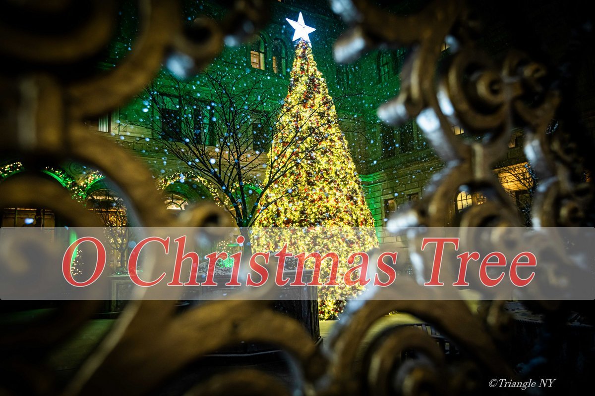 O Christmas tree in New York 2020_a0274805_11152013.jpg