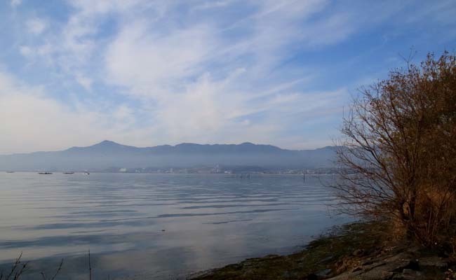 琵琶湖　初冬の水辺_e0048413_17593311.jpg