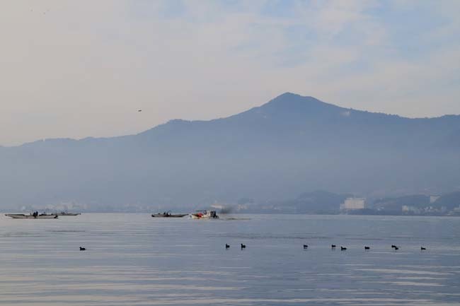 琵琶湖　初冬の水辺_e0048413_17595942.jpg