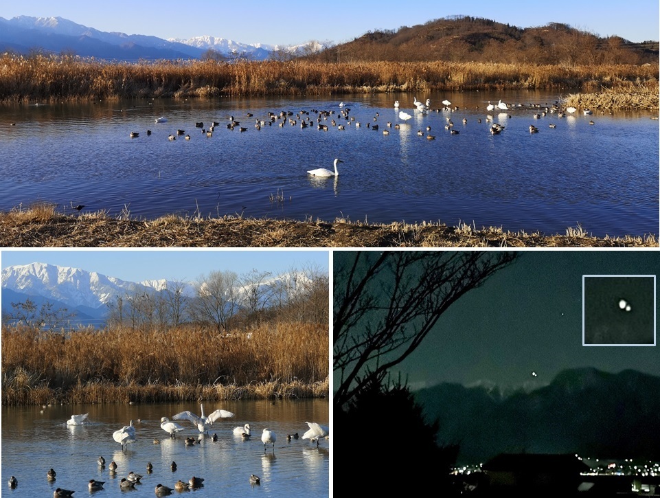 白鳥と木星と土星_a0212730_21183799.jpg