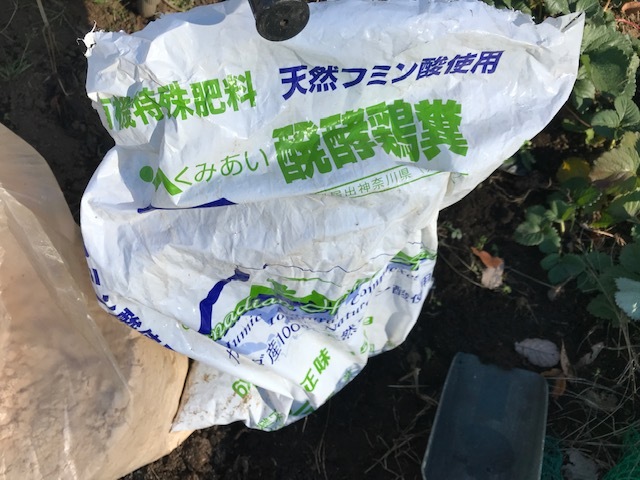 春キャベツとイチゴの根元に落ち葉12・23_c0014967_21084564.jpg