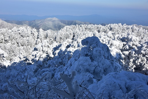 朝焼けの頂上　　山上ヶ岳　　　_c0303868_05050465.jpg