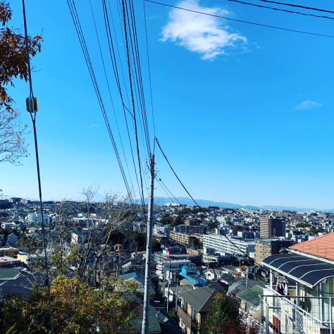 うちかわ指圧、2020年内は、29日火曜日まで営業いたします。_a0112393_08044644.jpg