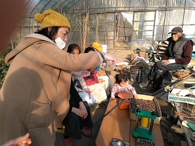 椿油しぼりに感動💕_c0280108_08043518.jpg
