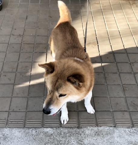 _f0078320_14040975.jpeg