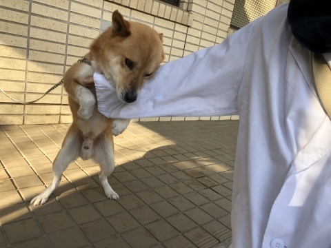 _f0078320_14042720.jpeg