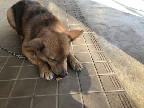 _f0078320_14080398.jpeg