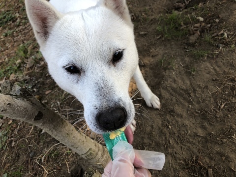 _f0078320_14180028.jpeg
