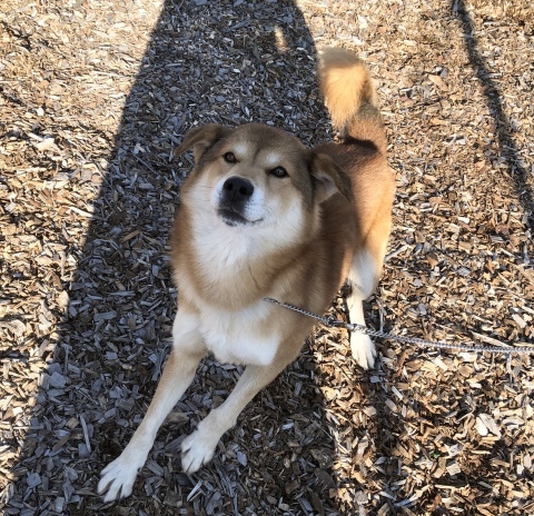 _f0078320_14254397.jpeg