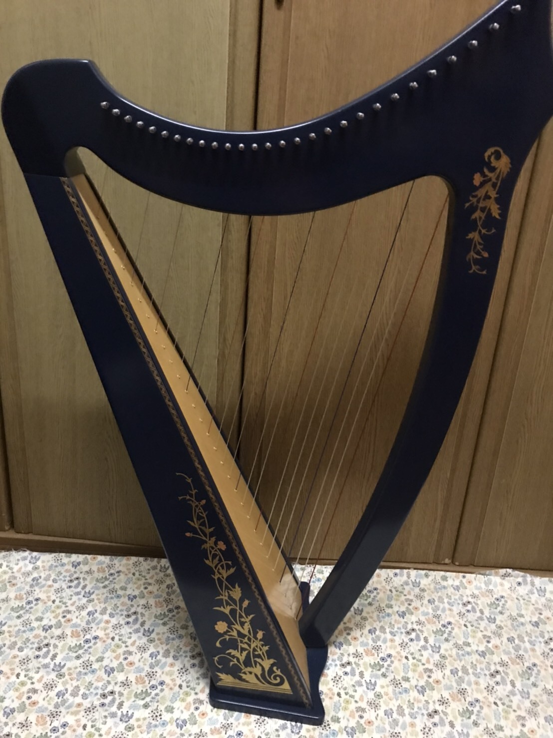青山 サウルハープ29弦ロイヤルブルー 中古情報 : 大竹智巳 青山 サウルハープ29弦ロイヤルブルー 中古情報 : 大竹智巳