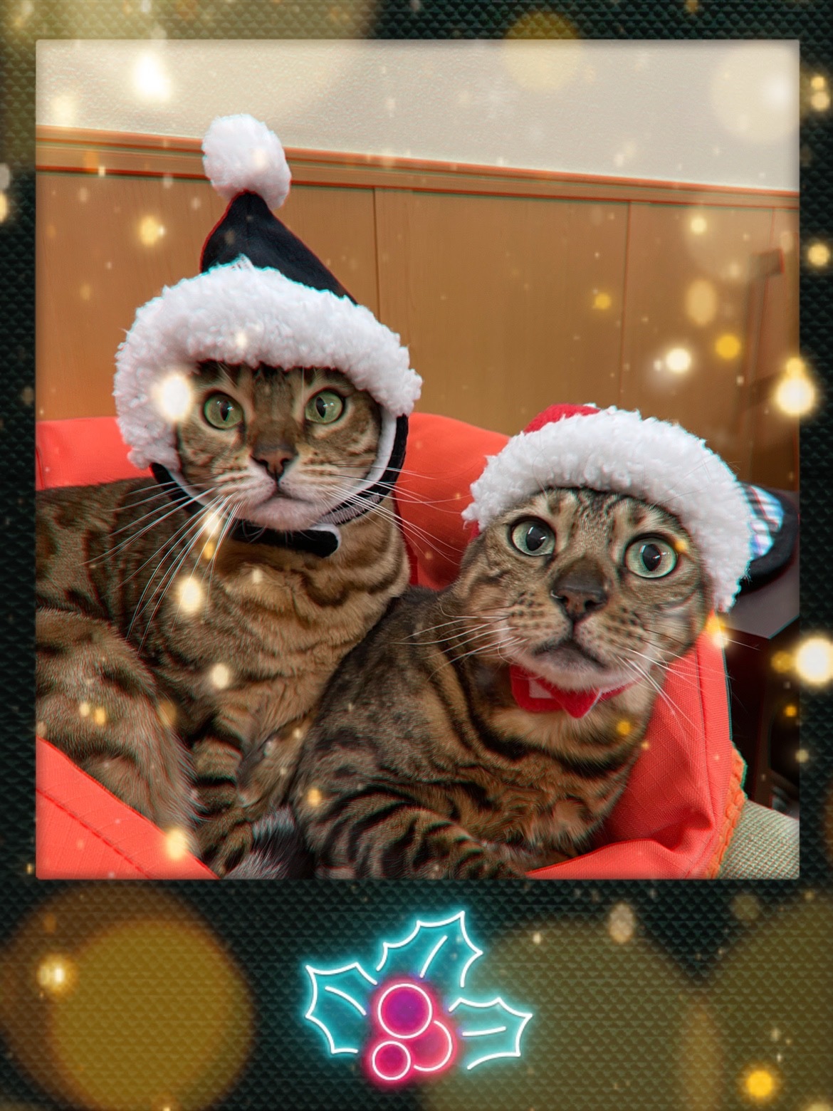 メリークリスマス 良いお年を 天使たちの優雅な生活