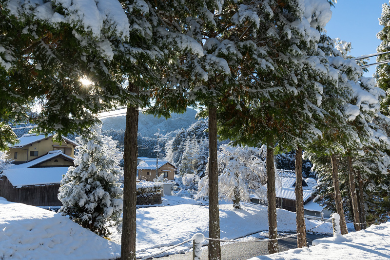 雪の京都2021 初雪・常照皇寺(前編) : 花景色-K.W.C. PhotoBlog 雪の京都2021 初雪・常照皇寺(前編) : 花景色-K.W.C. PhotoBlog