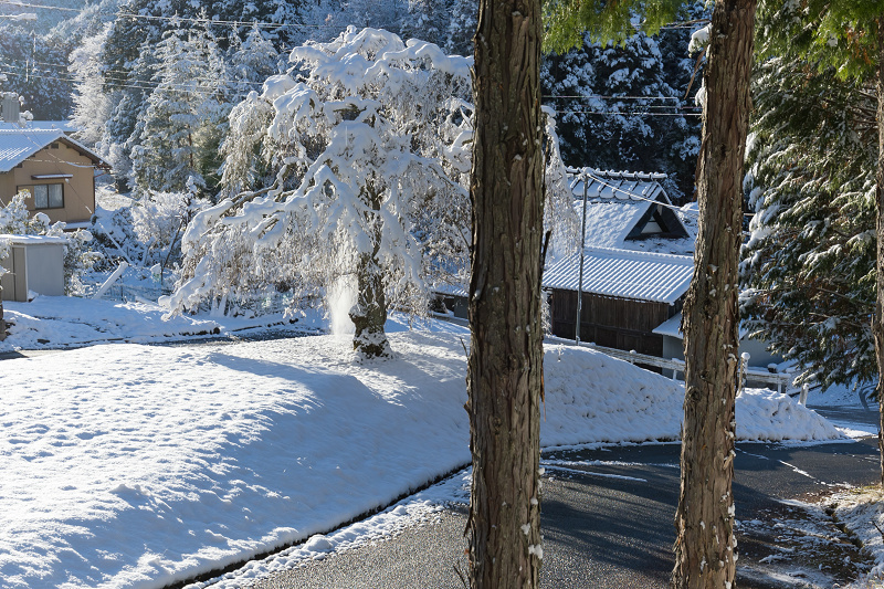 雪の京都2021 初雪・常照皇寺（前編） : 花景色－K.W.C. PhotoBlog