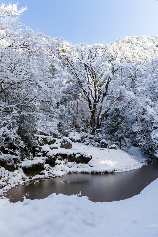 雪の京都2021 初雪・常照皇寺(前編) : 花景色-K.W.C. PhotoBlog 雪の京都2021 初雪・常照皇寺(前編) : 花景色-K.W.C. PhotoBlog