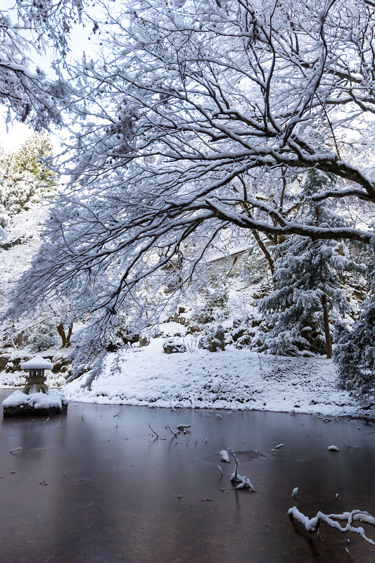 雪の京都2021 初雪・常照皇寺(前編) : 花景色-K.W.C. PhotoBlog 雪の京都2021 初雪・常照皇寺(前編) : 花景色-K.W.C. PhotoBlog