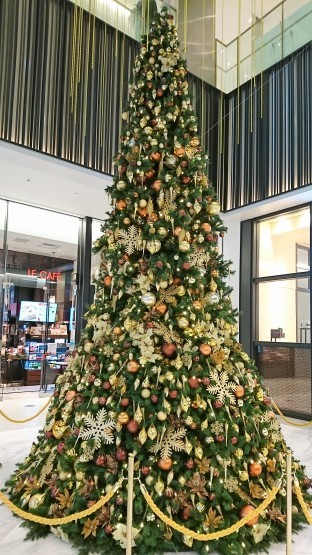 クリスマスなので ケーキを食べる 田村町木村屋 小川軒 新橋 カステラさん