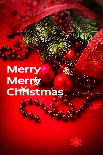 Merry Christmas^_^_d0132688_14114841.jpg