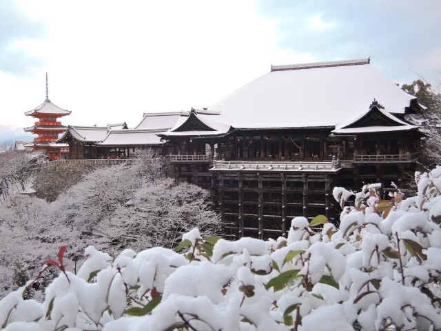 髙島屋京都店にて 2020年12月26日(土)~30日(水)_b0240294_12403682.jpg