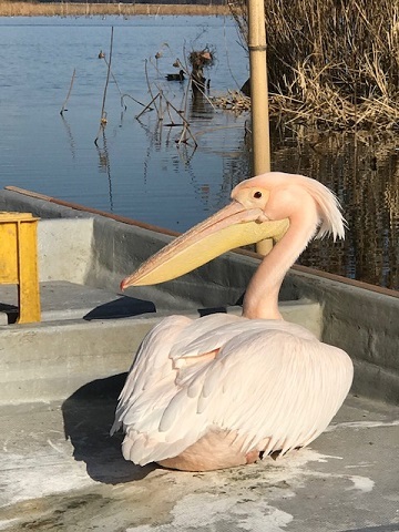 カンタくんに会いに行ってみた 青空 お日さま 笑顔 カンタくんに会いに行ってみた 青空 お日さま 笑顔