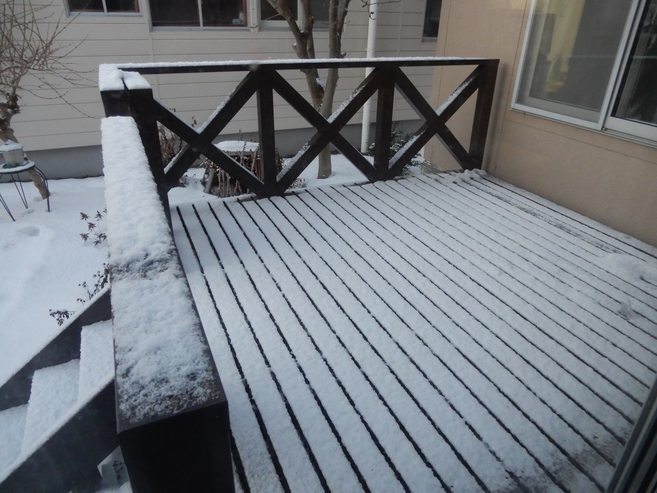 暖気はおしまい_c0025115_21240579.jpg