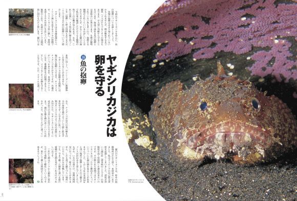 暖気はおしまい_c0025115_21303478.jpg