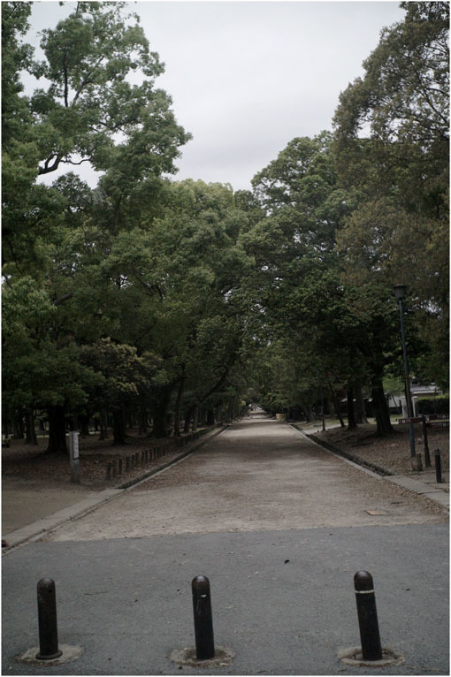 2207 穏やかな街(2020年5月22日エルマー35mmF3.5なら奈良町によく慣れていて)_b0226423_23001911.jpg