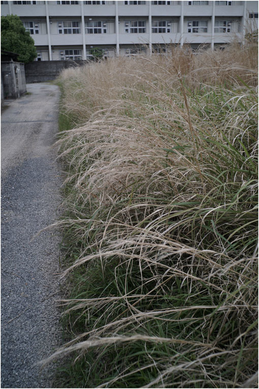 2207　穏やかな街（2020年5月22日エルマー35mmF3.5なら奈良町によく慣れていて）_b0226423_23071923.jpg