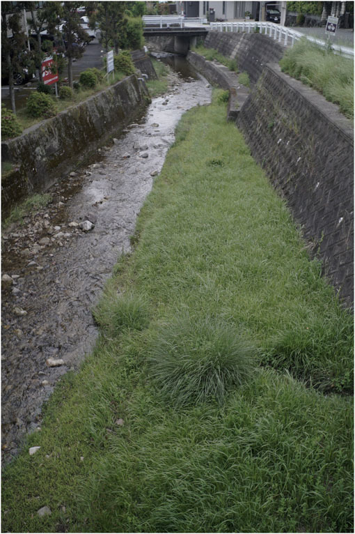 2207　穏やかな街（2020年5月22日エルマー35mmF3.5なら奈良町によく慣れていて）_b0226423_23082489.jpg