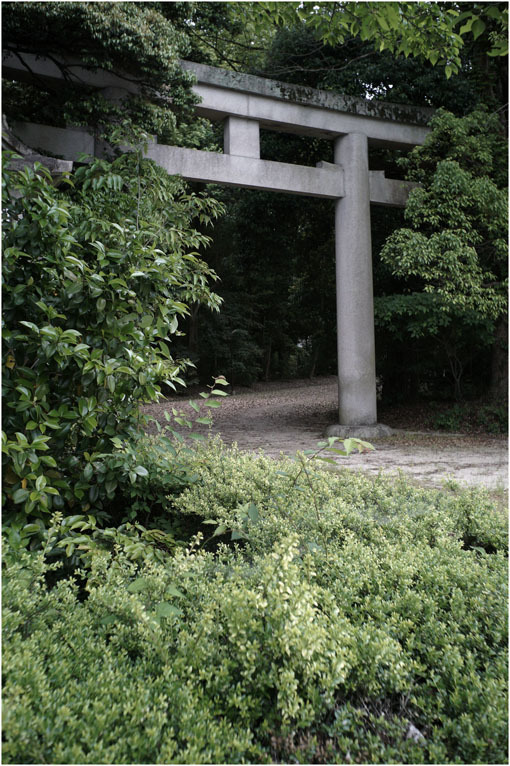 2207 穏やかな街(2020年5月22日エルマー35mmF3.5なら奈良町によく慣れていて)_b0226423_23101494.jpg