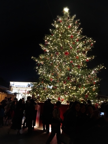 ★MerryCristmas★_a0253729_15344242.jpg