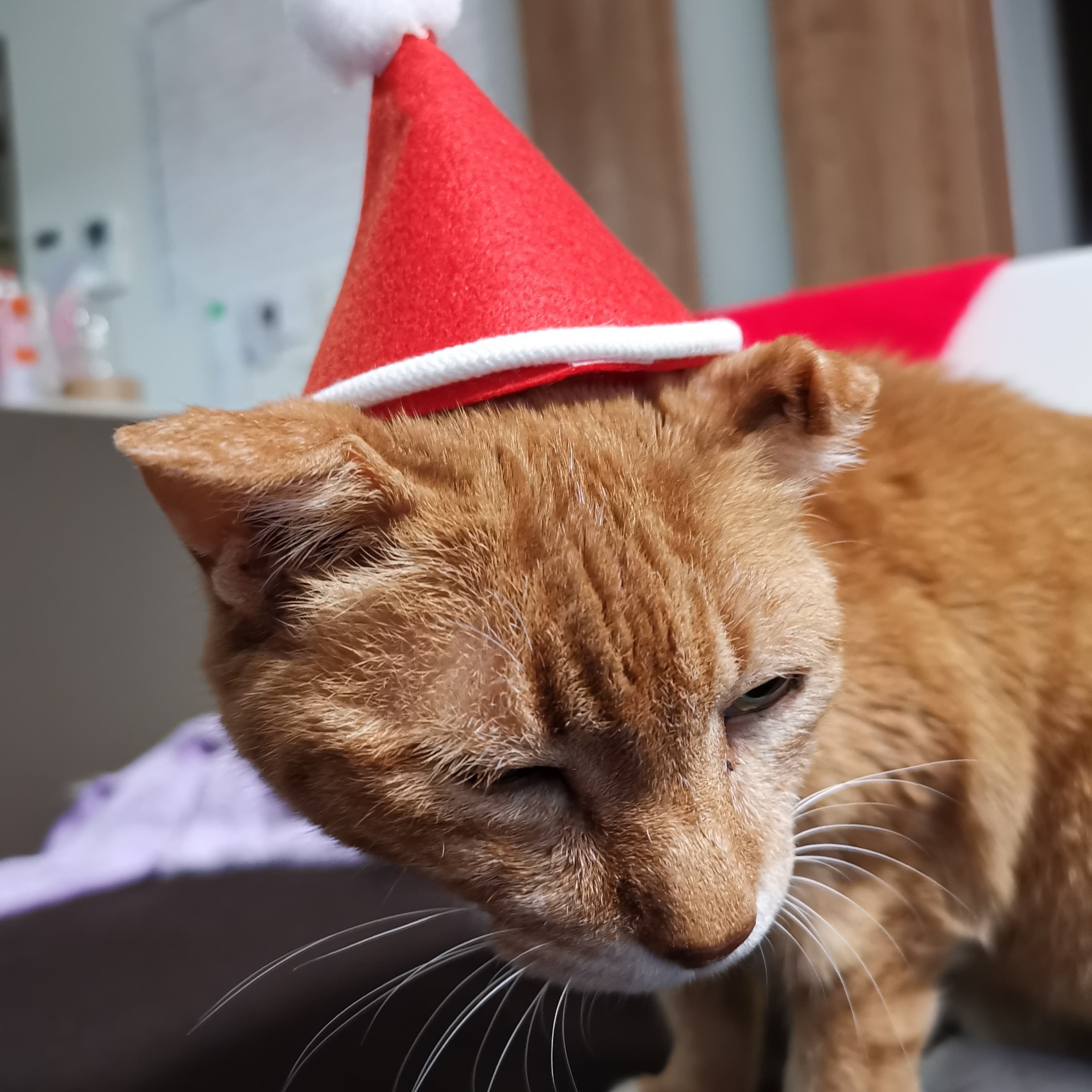クリスマスイブ_f0050534_09383191.jpg