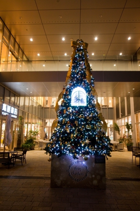 クリスマスツリー In Lect ぶらり広島街歩き クリスマスツリー In Lect ぶらり広島街歩き