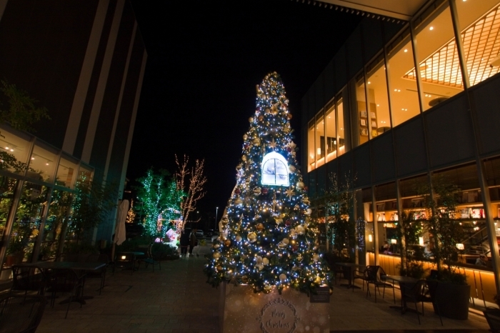 クリスマスツリー In Lect ぶらり広島街歩き クリスマスツリー In Lect ぶらり広島街歩き