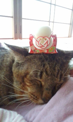 新年好！_b0145843_14081964.jpeg