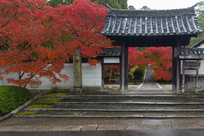 2020紅葉きらめく京都　艶秋・一休寺（参道編）_f0155048_22071237.jpg