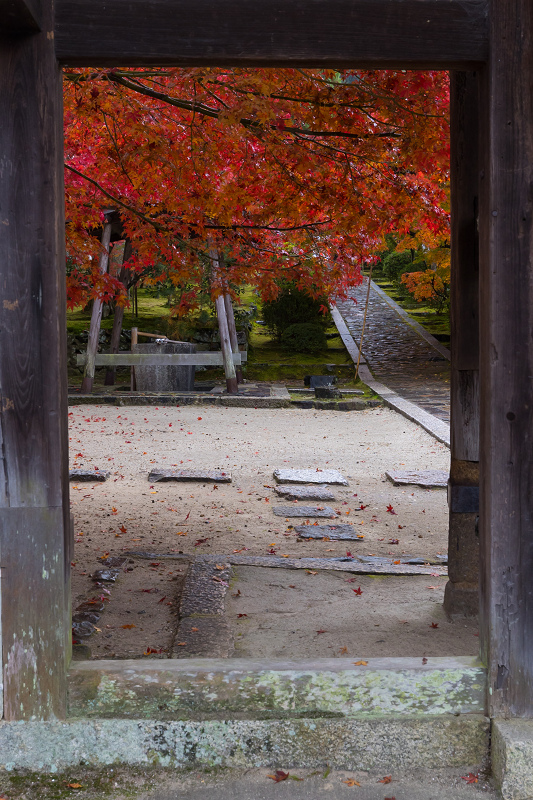 2020紅葉きらめく京都　艶秋・一休寺（参道編）_f0155048_22073168.jpg