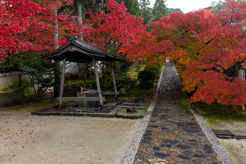 2020紅葉きらめく京都　艶秋・一休寺（参道編）_f0155048_22073710.jpg