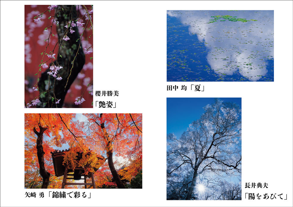 風景写真祭2021【大阪展】：第16回美しい風景写真100人展+風景写真Xtension展［開催中！！］_c0142549_20443894.jpg