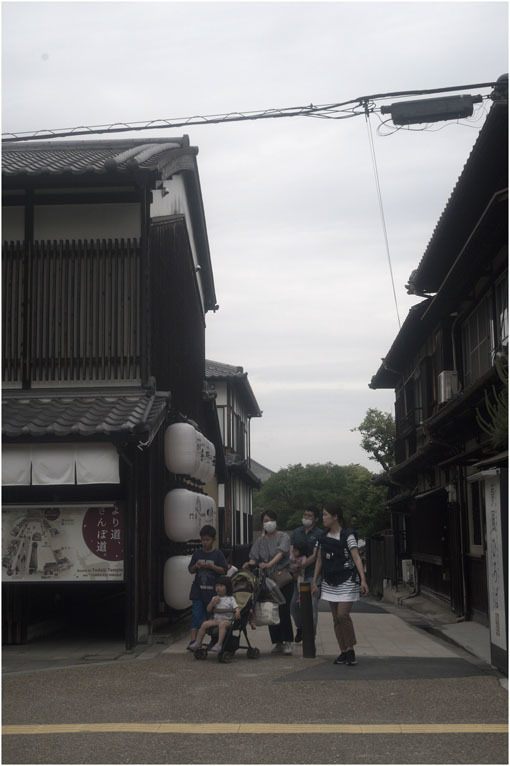 873 懐かしき友(2020年5月18日エンラージングアナスチグマート50mmF3.5奈良町を伸びやかに)_c0168172_11130303.jpg