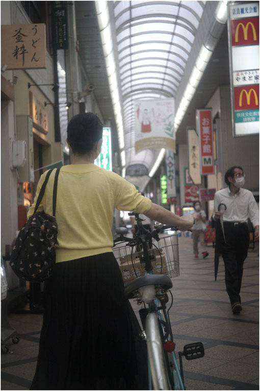873 懐かしき友(2020年5月18日エンラージングアナスチグマート50mmF3.5奈良町を伸びやかに)_c0168172_11151544.jpg