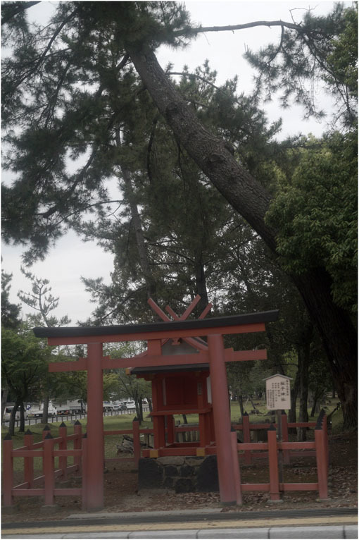 873 懐かしき友(2020年5月18日エンラージングアナスチグマート50mmF3.5奈良町を伸びやかに)_c0168172_11433718.jpg