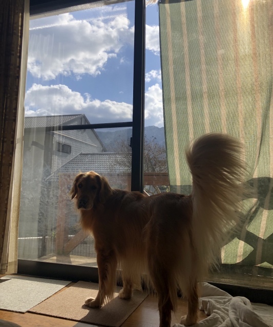ぼんやりday。_a0394574_12213208.jpeg