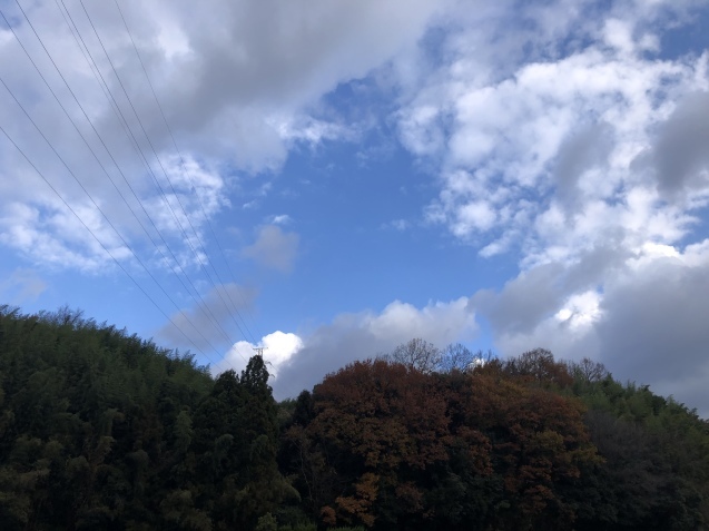 ぼんやりday。_a0394574_12250653.jpeg