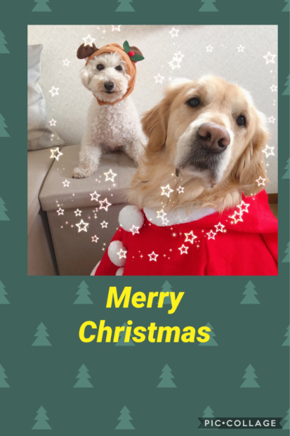Merry Christmas_e0366676_03411958.jpg