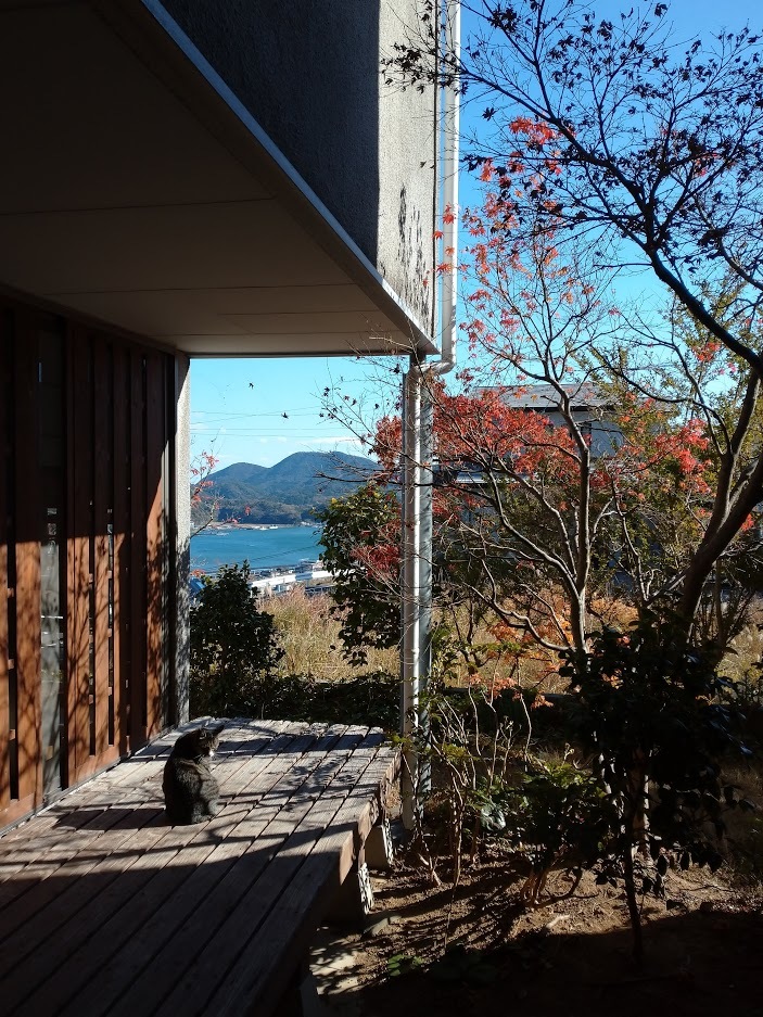 ぽんた君、寒かろうに・・・_f0197985_18111850.jpg