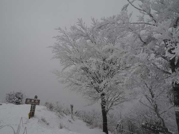 2020年12月20日　徳島県：国見山登山_a0133211_20570536.jpg